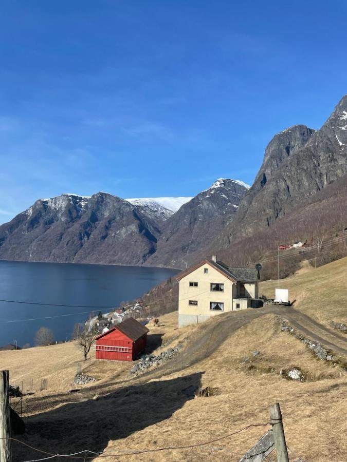 Aurland Stegastein Apartment Kültér fotó