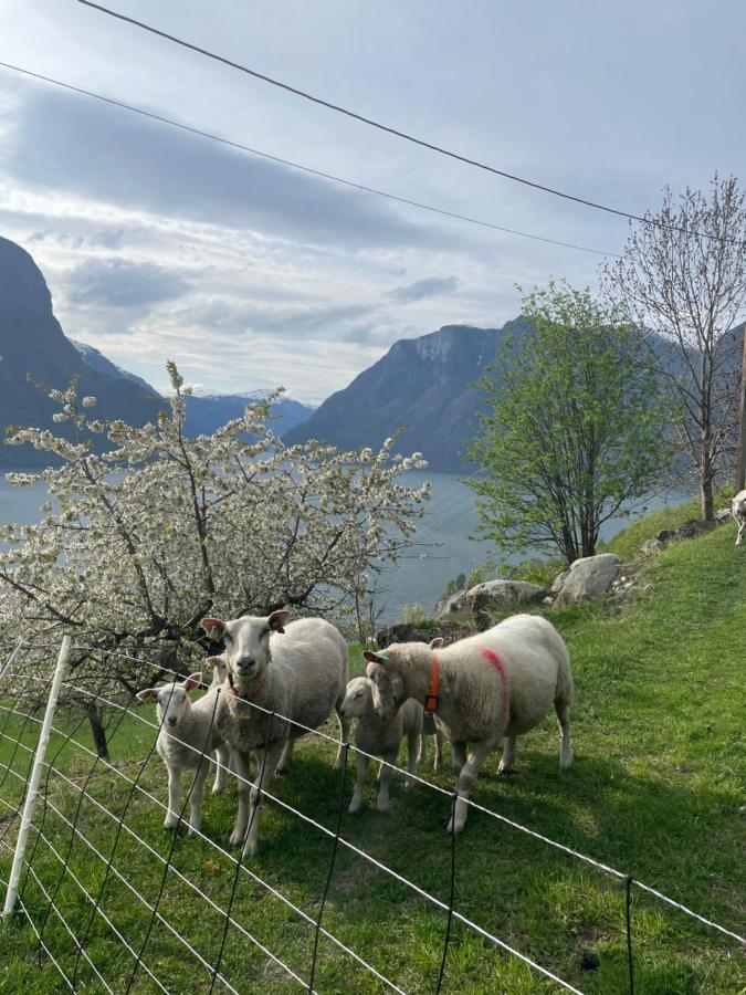 Aurland Stegastein Apartment Kültér fotó