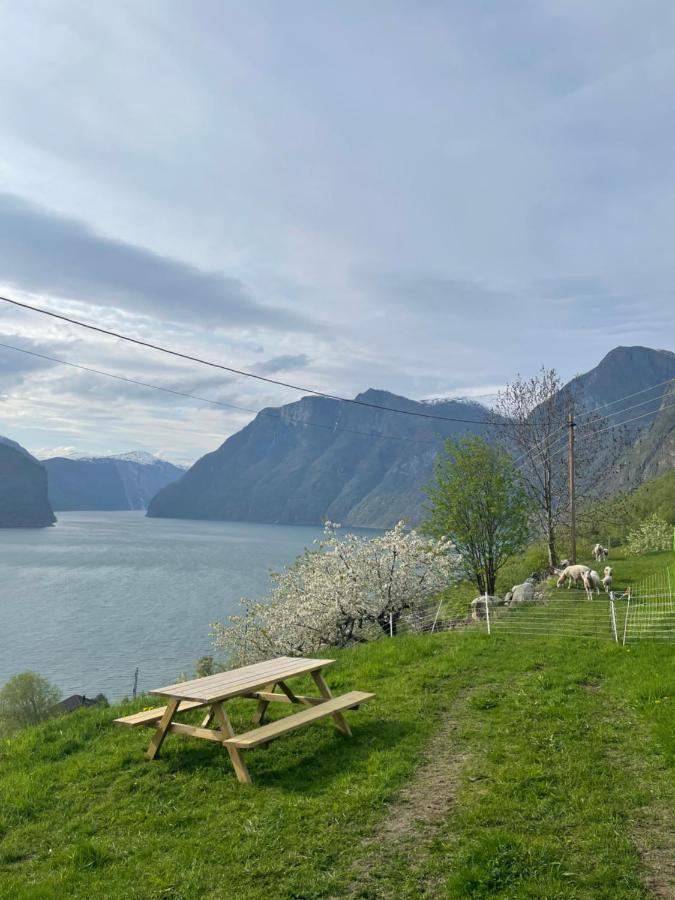 Aurland Stegastein Apartment Kültér fotó