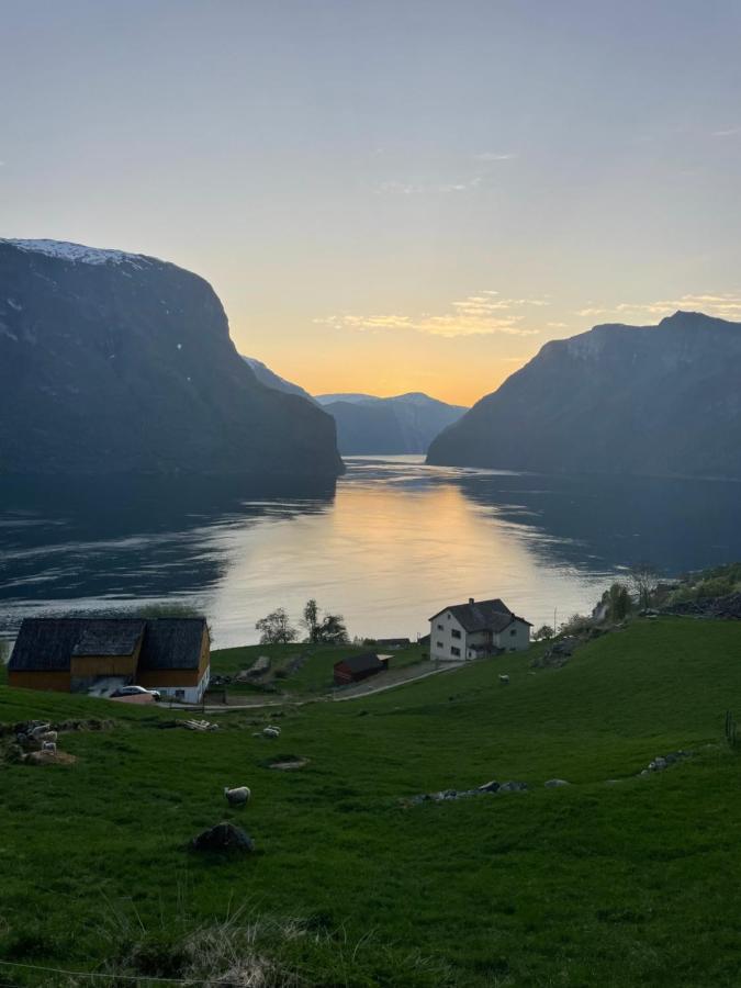 Aurland Stegastein Apartment Kültér fotó